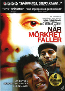 When Darkness Falls (DVD)